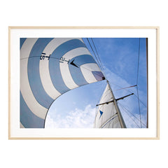 Spinnaker Wall Art