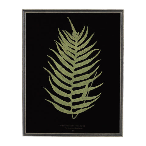 Vintage Fern Wall Art 2