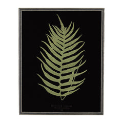 Vintage Fern Wall Art 2