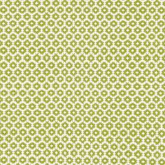 Finn Sprout Handwoven Indoor/Outdoor Rug Swatch