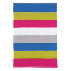 Jules Stripe Handwoven Indoor/Outdoor Rug