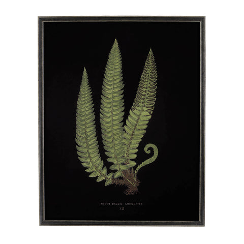 Vintage Fern Wall Art 3