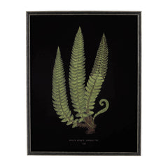 Vintage Fern Wall Art 3