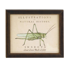 Vintage Grasshopper Wall Art