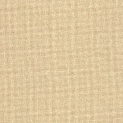 Lalago Straw Grasscloth Wallpaper Swatch