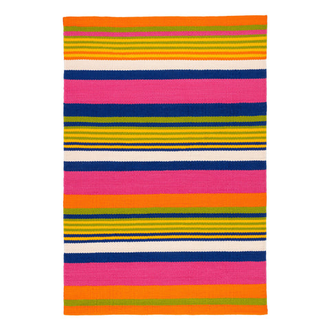 Sunny Stripe Multi Handwoven Indoor/Outdoor Rug