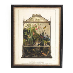 Vintage Vivarium Wall Art