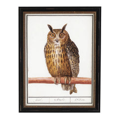 Vintage Owl Wall Art