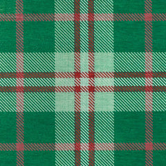 Jolly Plaid Green Machine Washable Rug Swatch