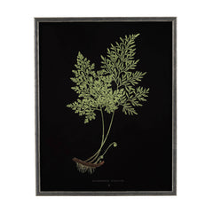 Vintage Fern Wall Art 1