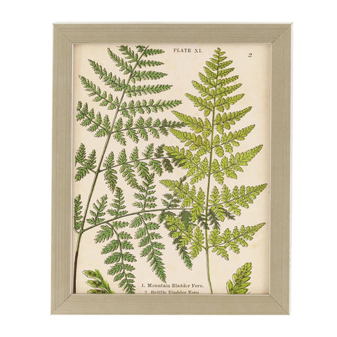 Vintage Fern Collage Wall Art 3