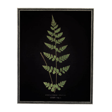 Vintage Fern Wall Art 4