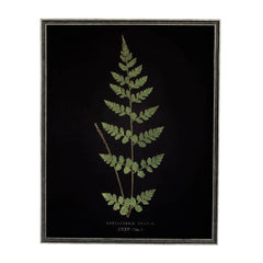 Vintage Fern Wall Art 4